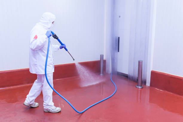 Best Window and Screen Pressure Cleaning in Riverside, MO