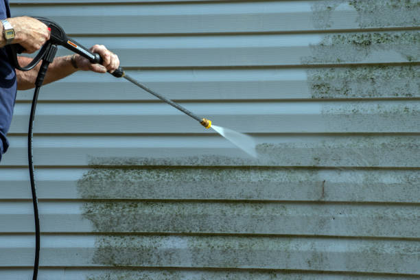 Best Gutter Cleaning and Brightening in Riverside, MO